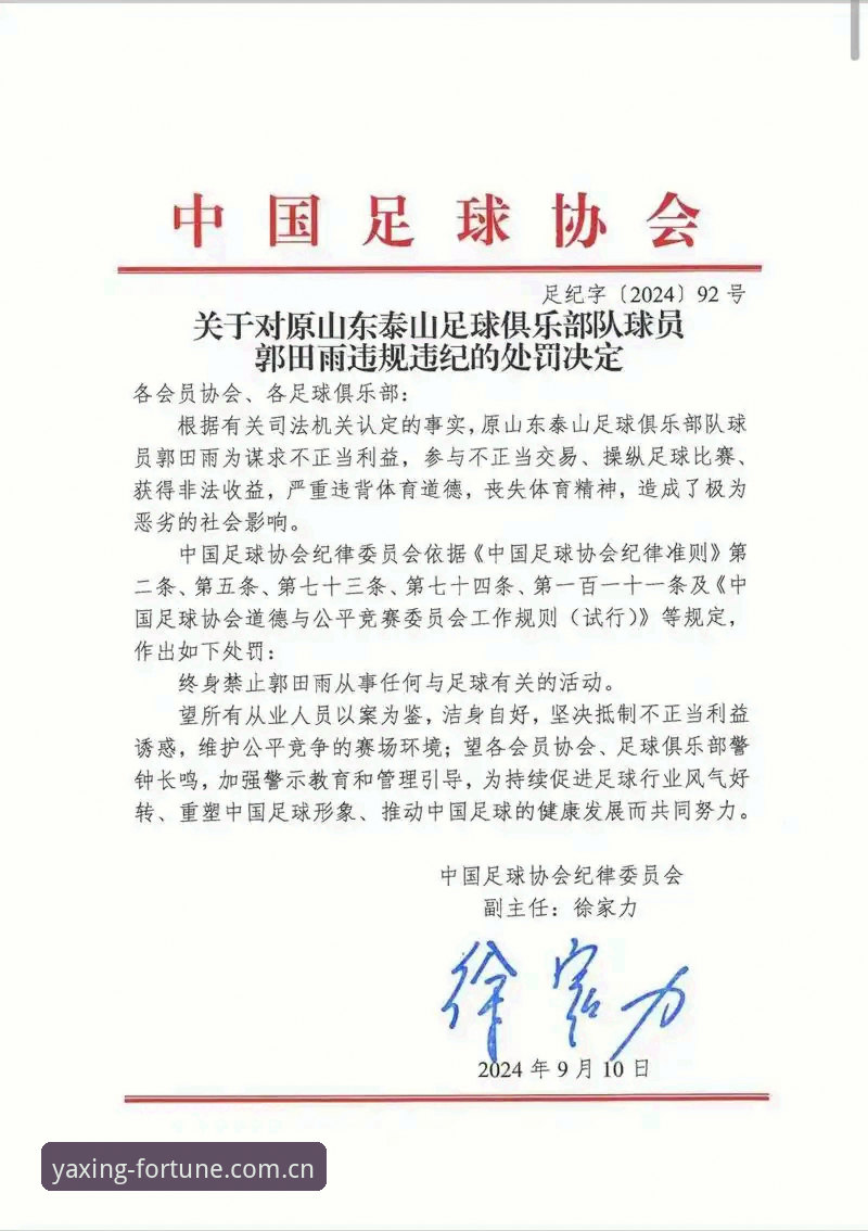 中国足协第三批禁足名单深度评测：65人受罚背后的行业生态剖析